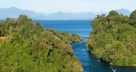 D-111 RÍO BUENO (Nace del Lago Ranco)